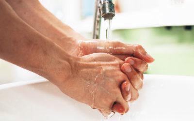 Harmful Bacteria Found Within Bathrooms